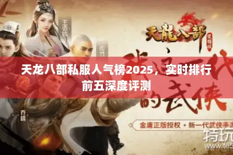 天龙八部私服人气榜2025，实时排行前五深度评测