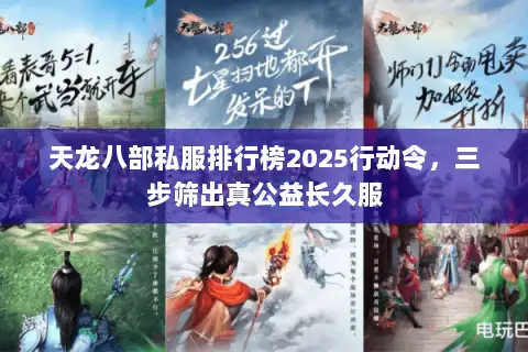 天龙八部私服排行榜2025行动令，三步筛出真公益长久服