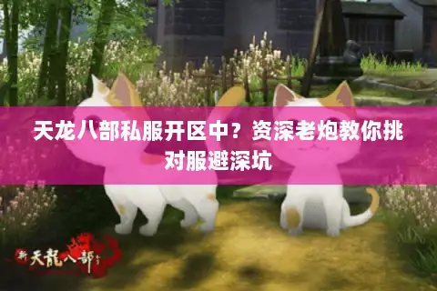 天龙八部私服开区中?资深老炮教你挑对服避深坑 天龙八部私服开区中?资深老炮教你挑对服避深坑