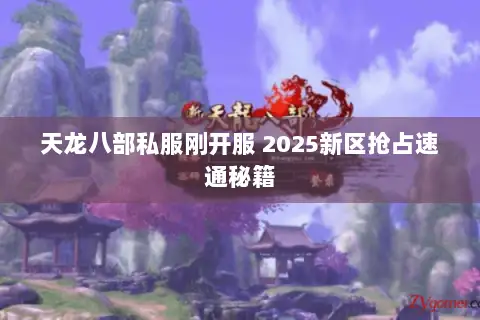 天龙八部私服刚开服 2025新区抢占速通秘籍