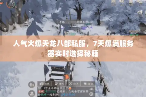 人气火爆天龙八部私服,7天爆满服务器实时选择秘籍 人气火爆天龙八部私服,7天爆满服务器实时选择秘籍