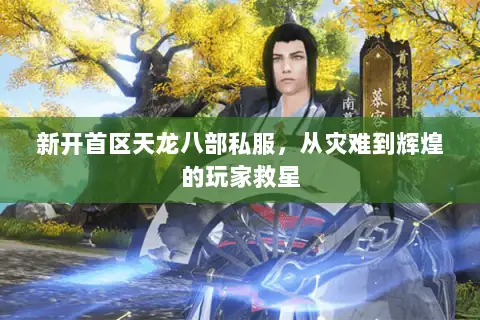 新开首区天龙八部私服，从灾难到辉煌的玩家救星