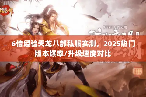 6倍经验天龙八部私服实测，2025热门版本爆率/升级速度对比