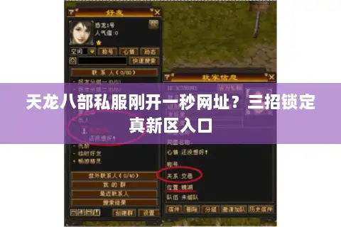 天龙八部私服刚开一秒网址？三招锁定真新区入口