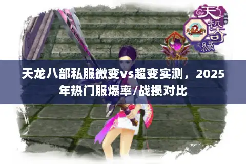 天龙八部私服微变vs超变实测,2025年热门服爆率/战损对比 天龙八部私服微变vs超变实测,2025年热门服爆率/战损对比