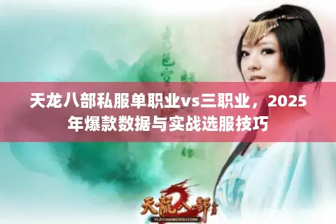 天龙八部私服单职业vs三职业，2025年爆款数据与实战选服技巧