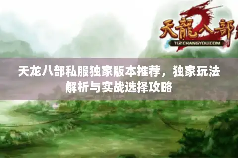 天龙八部私服独家版本推荐,独家玩法解析与实战选择攻略 天龙八部私服独家版本推荐,独家玩法解析与实战选择攻略