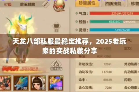 天龙八部私服最稳定推荐，2025老玩家的实战私藏分享