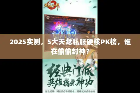 2025实测，5大天龙私服硬核PK榜，谁在偷偷封神？