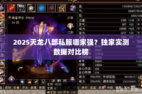2025天龙八部私服哪家强?独家实测数据对比榜 2025天龙八部私服哪家强?独家实测数据对比榜