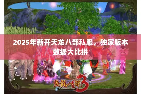 2025年新开天龙八部私服，独家版本数据大比拼
