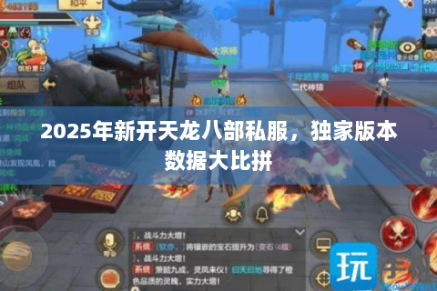 2025年新开天龙八部私服，独家版本数据大比拼