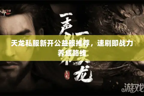 天龙私服新开公益服推荐,速刷即战力养成路线 天龙私服新开公益服推荐,速刷即战力养成路线