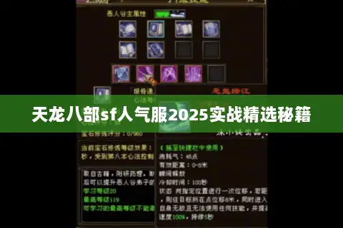 天龙八部sf人气服2025实战精选秘籍