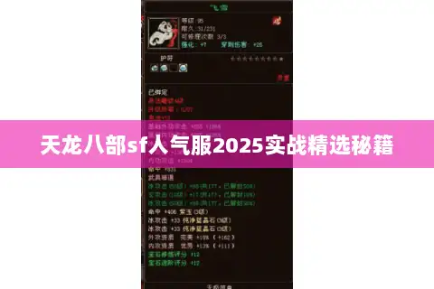 天龙八部sf人气服2025实战精选秘籍