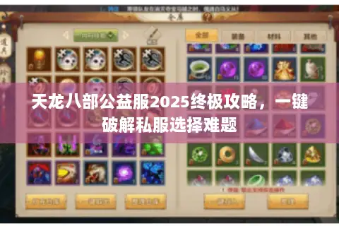 天龙八部公益服2025终极攻略，一键破解私服选择难题