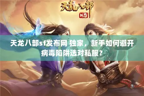 天龙八部sf发布网 独家，新手如何避开病毒陷阱选对私服？