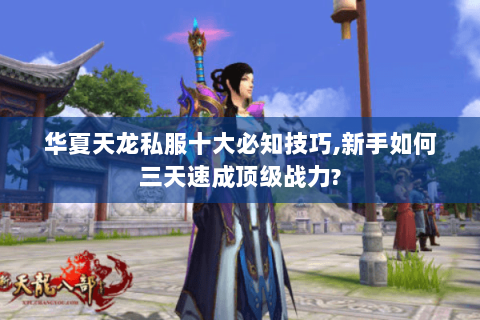 华夏天龙私服十大必知技巧,新手如何三天速成顶级战力?