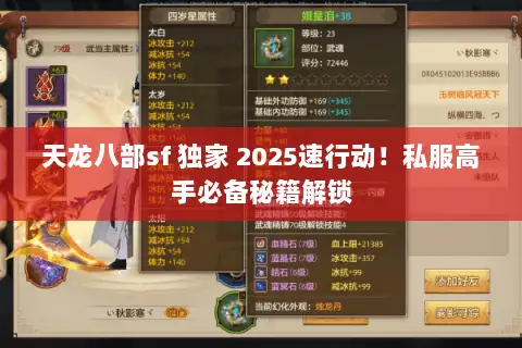 天龙八部sf 独家 2025速行动！私服高手必备秘籍解锁