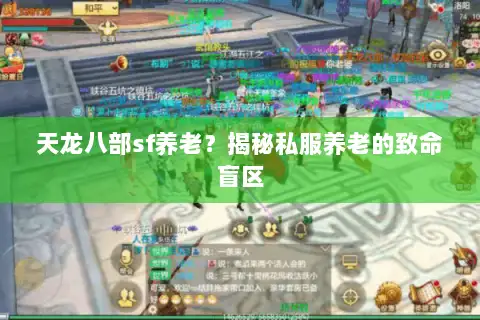 天龙八部sf养老?揭秘私服养老的致命盲区 天龙八部sf养老?揭秘私服养老的致命盲区