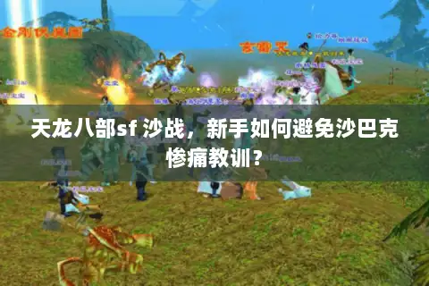 天龙八部sf 沙战，新手如何避免沙巴克惨痛教训？