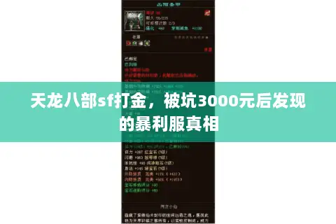 天龙八部sf打金，被坑3000元后发现的暴利服真相