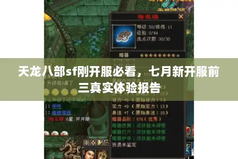 天龙八部sf刚开服必看，七月新开服前三真实体验报告