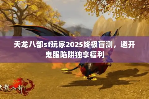 天龙八部sf玩家2025终极盲测，避开鬼服陷阱独享福利