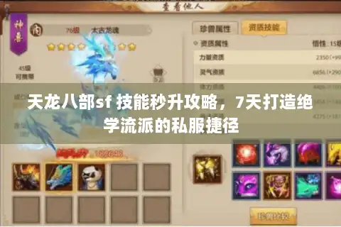 天龙八部sf 技能秒升攻略，7天打造绝学流派的私服捷径