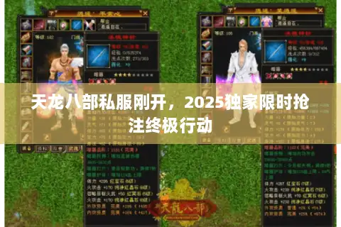 天龙八部私服刚开，2025独家限时抢注终极行动