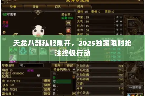 天龙八部私服刚开，2025独家限时抢注终极行动
