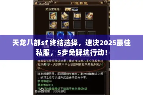 天龙八部sf 终结选择，速决2025最佳私服，5步免踩坑行动！