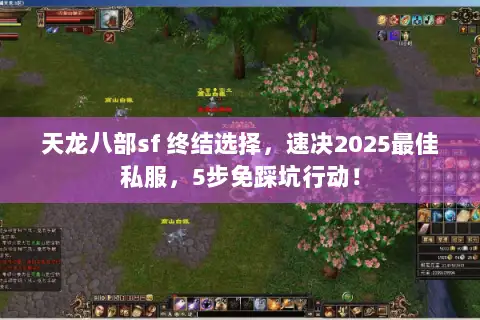 天龙八部sf 终结选择，速决2025最佳私服，5步免踩坑行动！