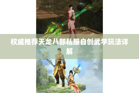 权威推荐天龙八部私服自创武学玩法详解