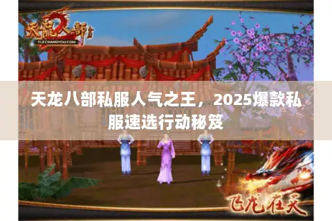 天龙八部私服人气之王，2025爆款私服速选行动秘笈