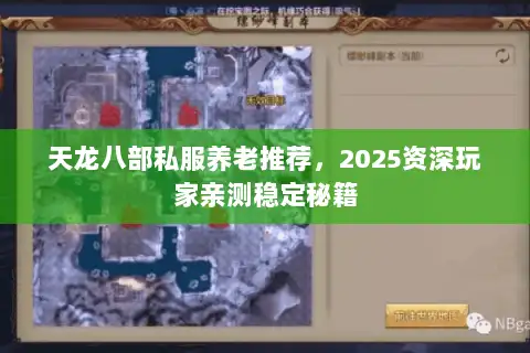 天龙八部私服养老推荐，2025资深玩家亲测稳定秘籍