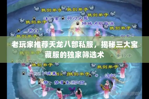 老玩家推荐天龙八部私服,揭秘三大宝藏服的独家筛选术 老玩家推荐天龙八部私服,揭秘三大宝藏服的独家筛选术