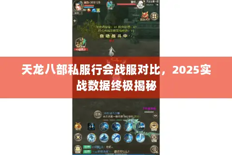 天龙八部私服行会战服对比，2025实战数据终极揭秘