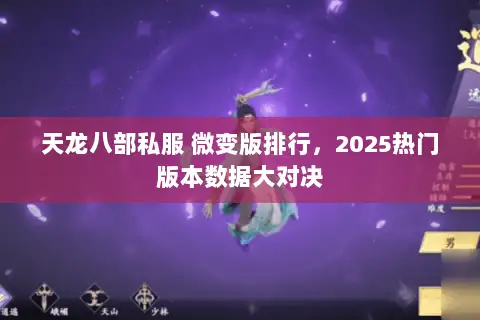 天龙八部私服 微变版排行，2025热门版本数据大对决