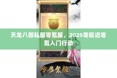 天龙八部私服零氪服,2025零延迟零氪入门行动 天龙八部私服零氪服,2025零延迟零氪入门行动