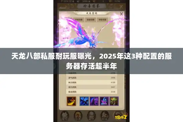 天龙八部私服耐玩服曝光,2025年这3种配置的服务器存活超半年 天龙八部私服耐玩服曝光,2025年这3种配置的服务器存活超半年