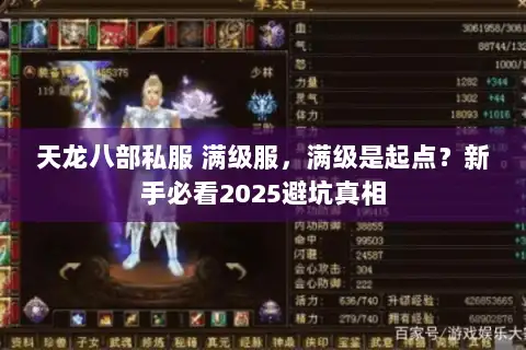 天龙八部私服 满级服，满级是起点？新手必看2025避坑真相