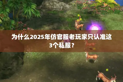 为什么2025年仿官服老玩家只认准这3个私服？
