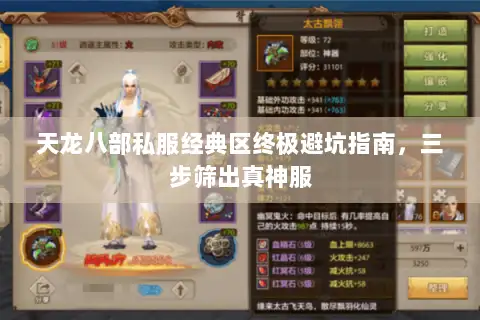 天龙八部私服经典区终极避坑指南,三步筛出真神服 天龙八部私服经典区终极避坑指南,三步筛出真神服
