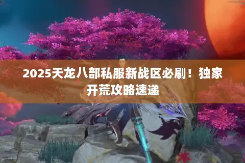 2025天龙八部私服新战区必刷！独家开荒攻略速递
