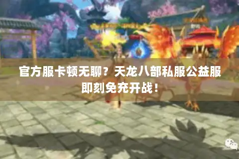 官方服卡顿无聊？天龙八部私服公益服即刻免充开战！