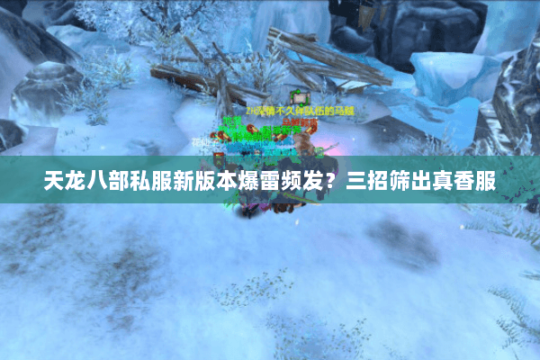天龙八部私服新版本爆雷频发?三招筛出真香服 天龙八部私服新版本爆雷频发?三招筛出真香服