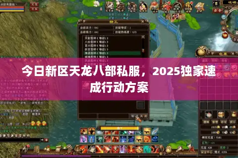 今日新区天龙八部私服，2025独家速成行动方案