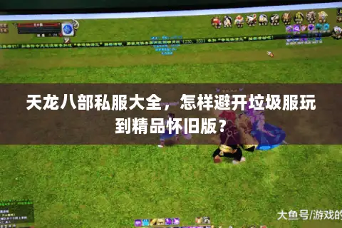 天龙八部私服大全,怎样避开垃圾服玩到精品怀旧版? 天龙八部私服大全,怎样避开垃圾服玩到精品怀旧版?