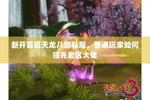 新开首区天龙八部私服，普通玩家如何领先老区大佬